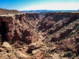 Moab-White Rim 4-08 051